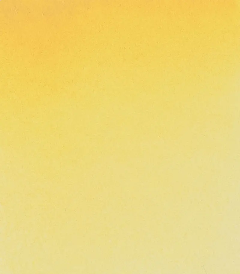 14 221 Jaune brilliant dark