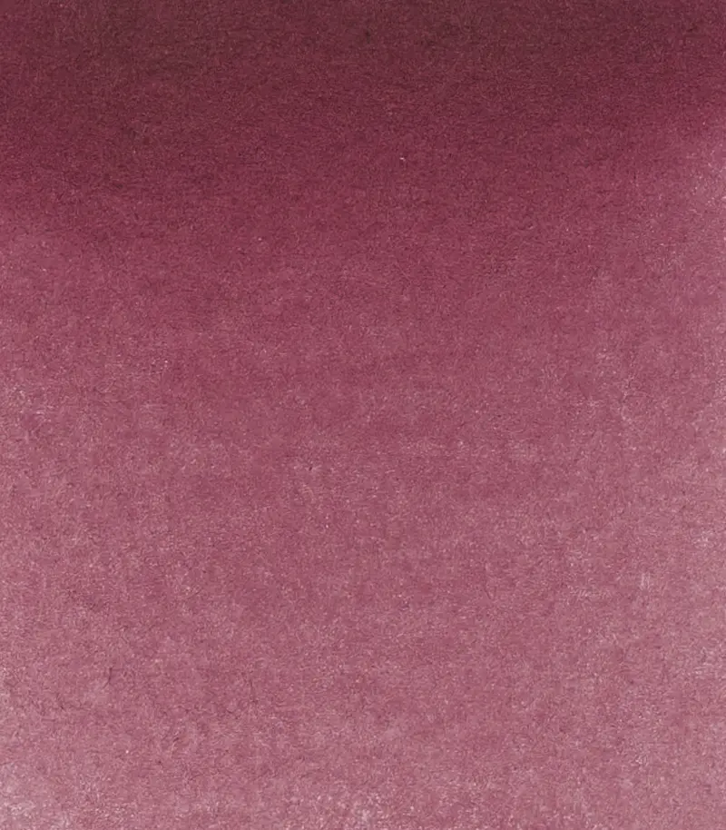 14 371 Perylene violet