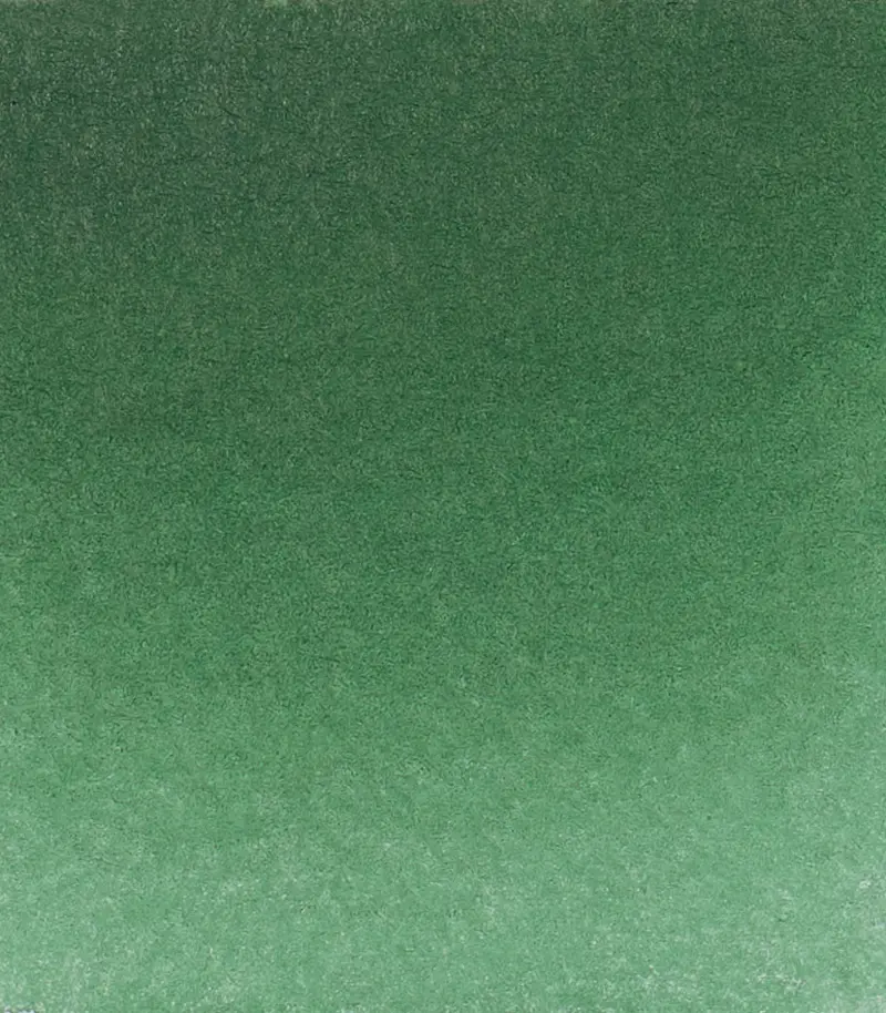 14 521 Hooker's green