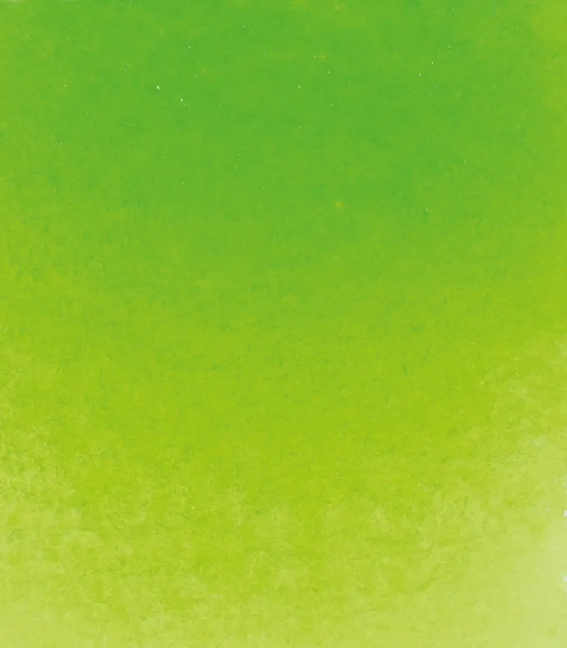 14 524 May green