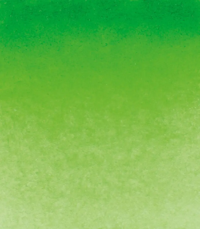 14 526 Permanent green