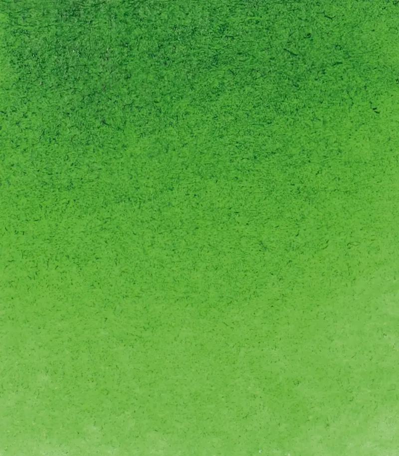 14 530 Sap green