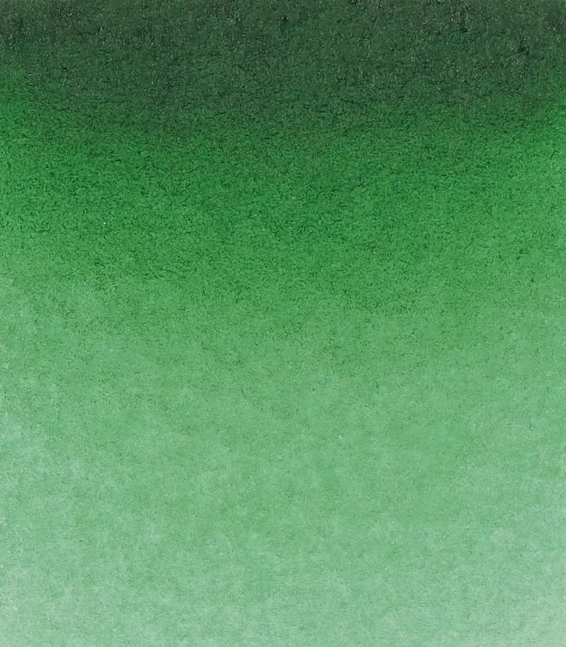 14 534 Permanent green olive