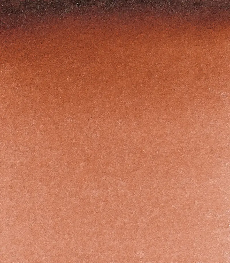 14 648 Transparent brown