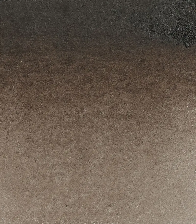 14 662 Sepia brown reddish