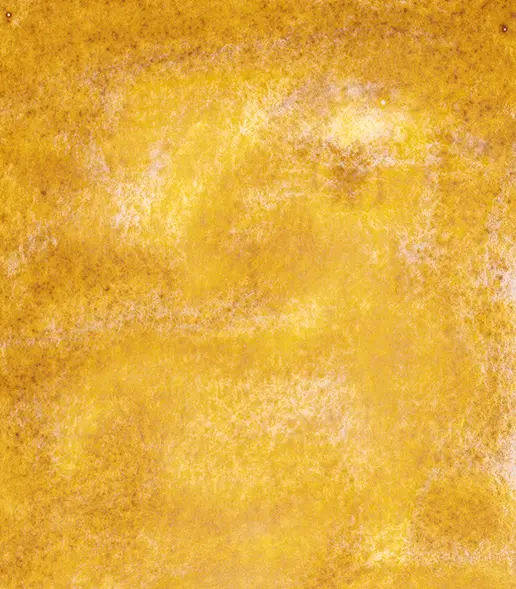 14 916 Urban yellow