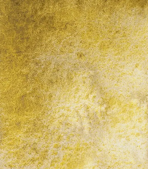 14 921 Desert yellow