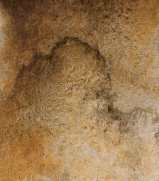 14 923 Desert brown
