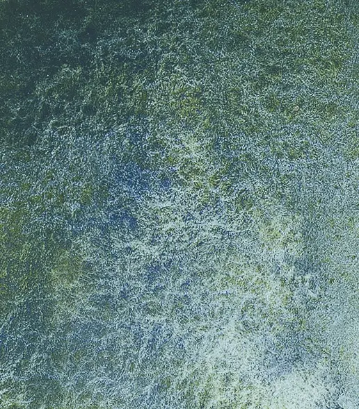 14 934 Shire blue