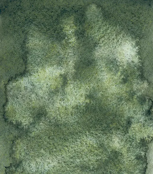 14 936 Urban green