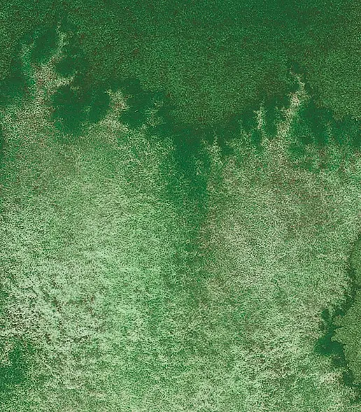 14 942 Forest green