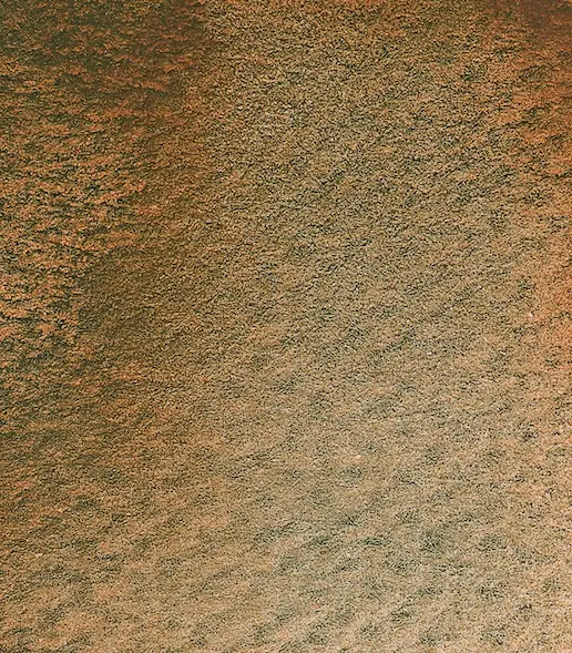 14 964 Glacier brown
