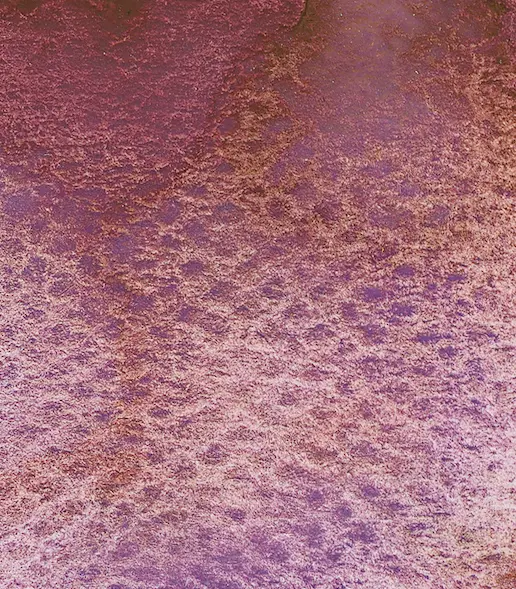 14 971 Galaxy pink