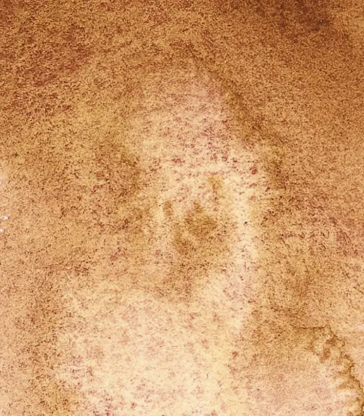 14 981 Tundra orange