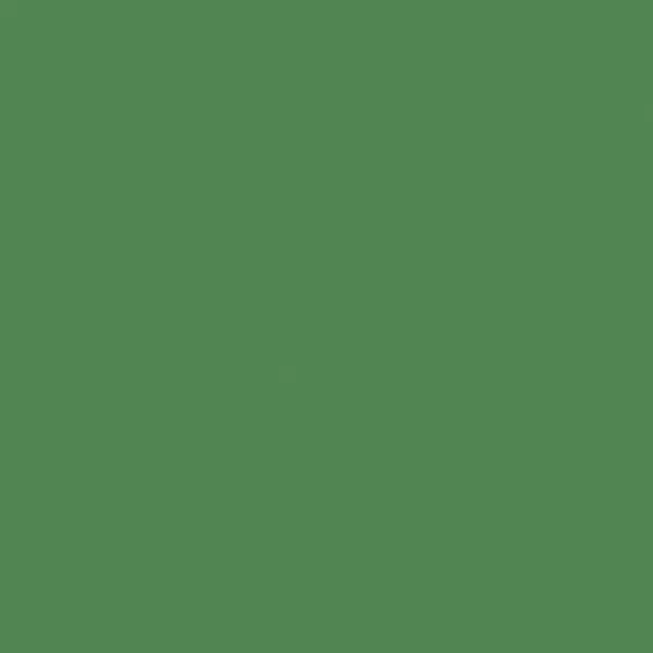 25 558 Chromium oxide green