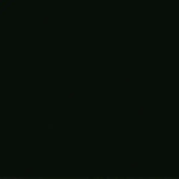 25 788 Ivory black