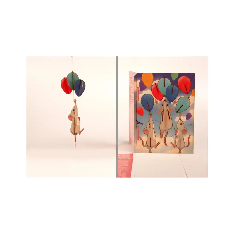 3D-kort, Mus