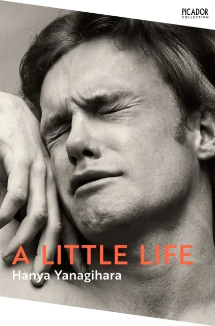 A Little Life - Yanagihara, Hanya