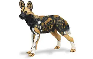 Afrikansk vildhund 9x7 cm