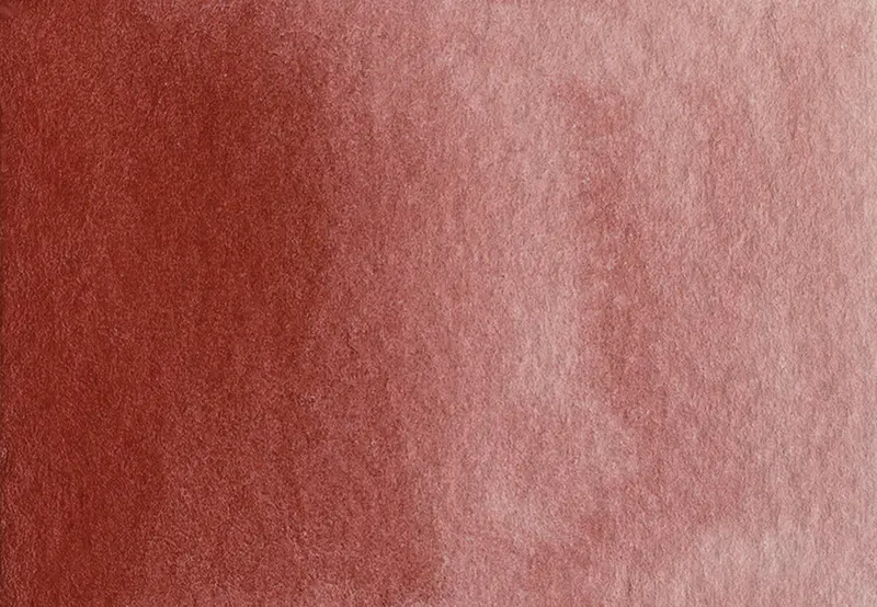 AG 119 English red