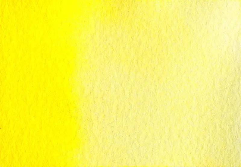AG 205 Royal yellow