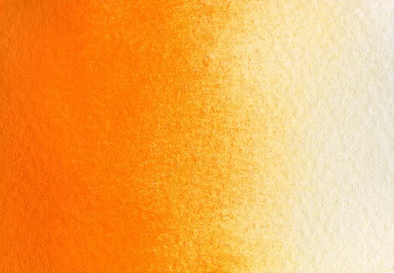 AG 211 Hokkaido orange