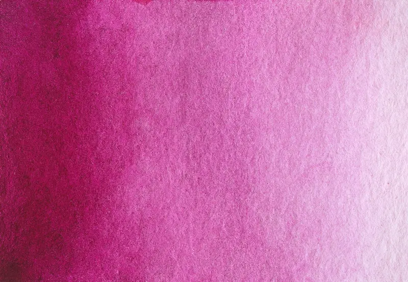 AG 216 Quinacridone magenta