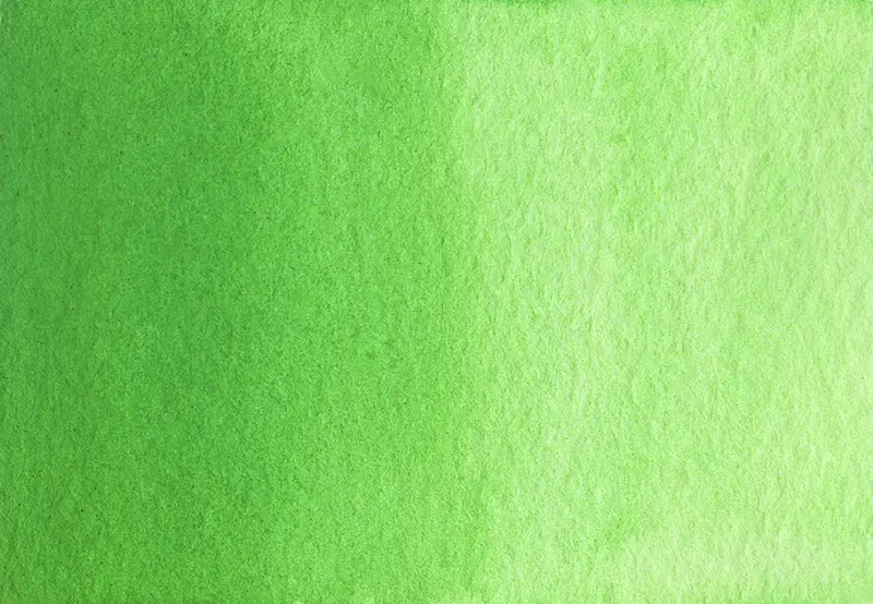 AG 238 Spring green