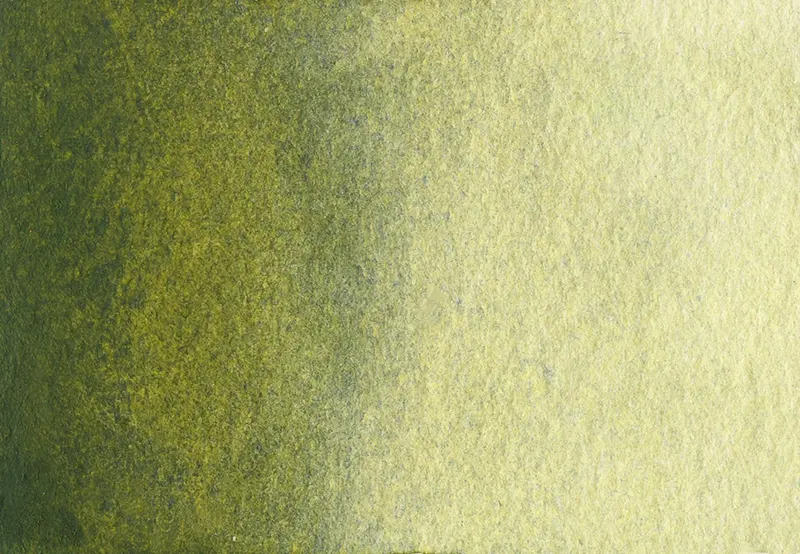 AG 244 Olive green, deep