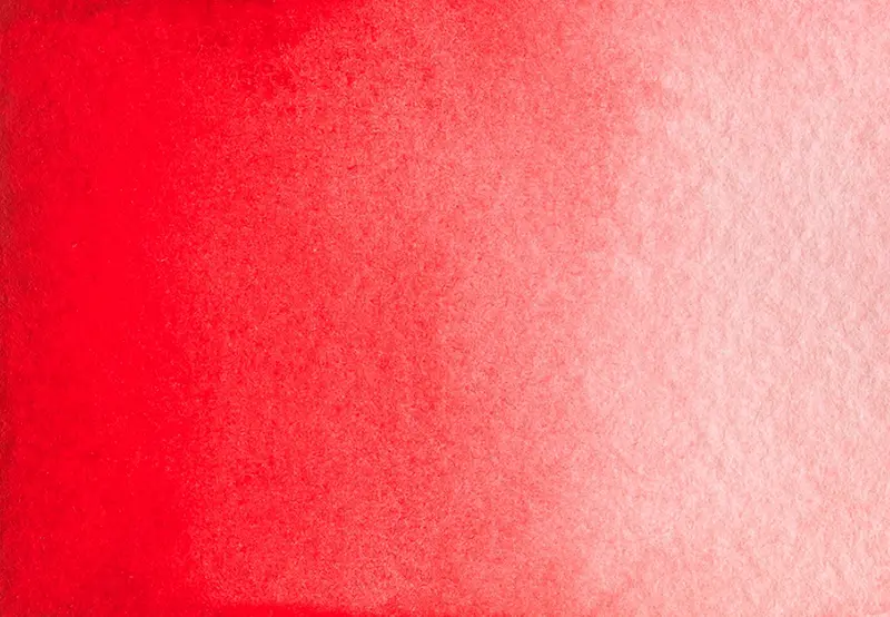 AG 304 Medici red