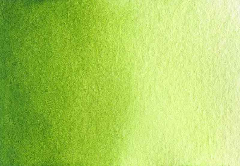 AG 326 Sap green