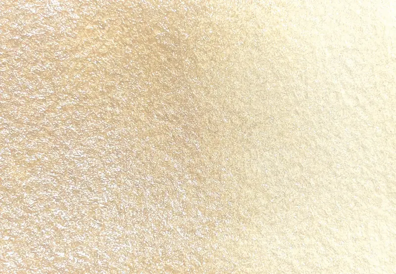 AG 600 Champagne