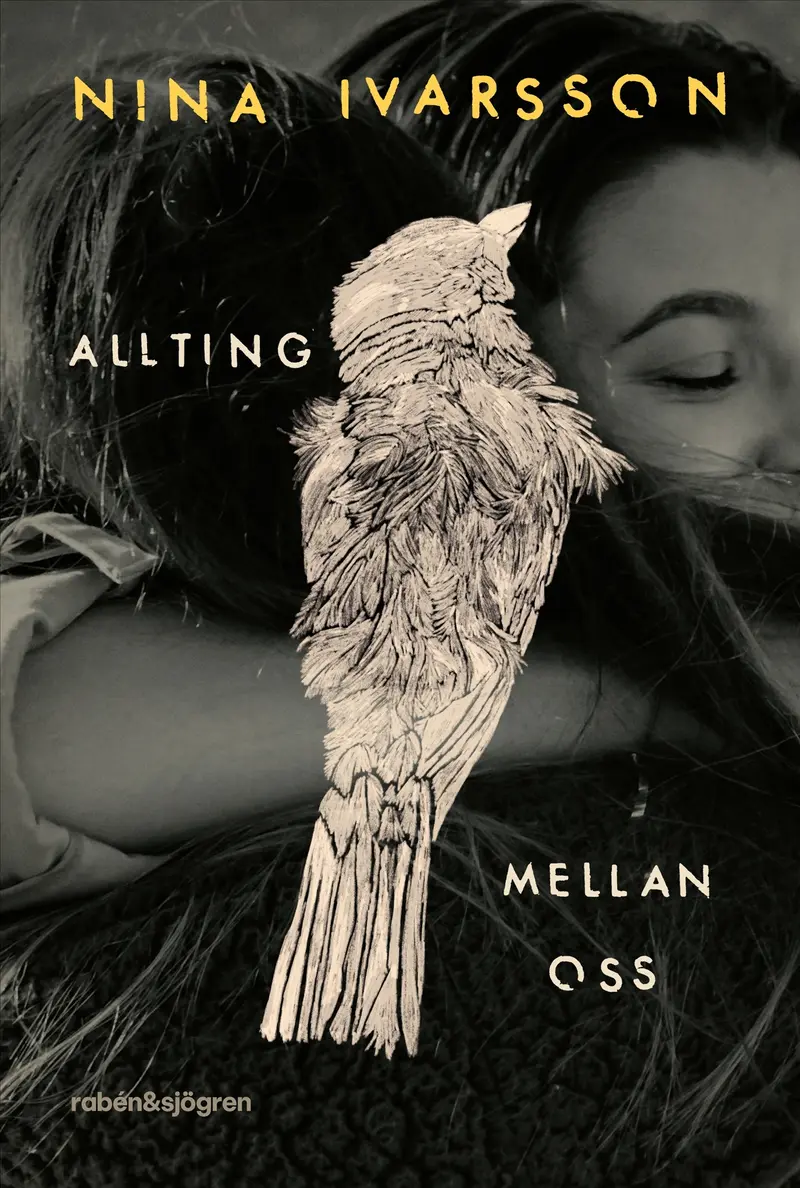 Allting mellan oss - Nina Ivarsson (beg.)