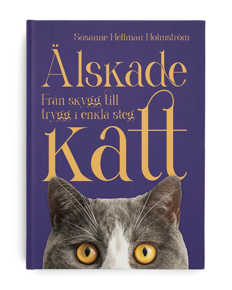Älskade katt