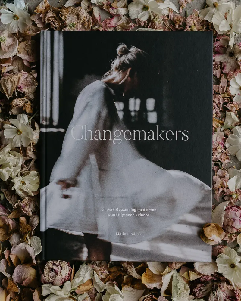 Changemakers E-bok