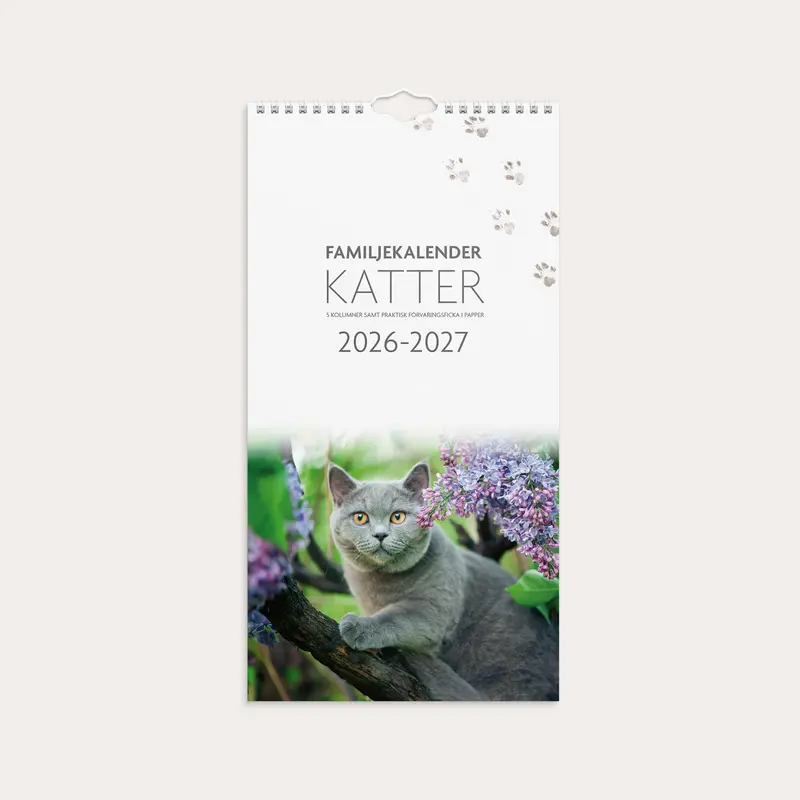 Familjekalender 26/27 Katter