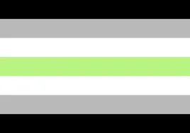 Flagga - Agender (150x90)