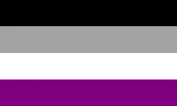 Flagga - Asexuell (150x90)