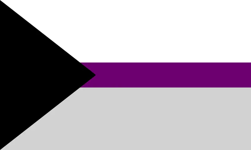 Flagga - Demisexuell (150x90)
