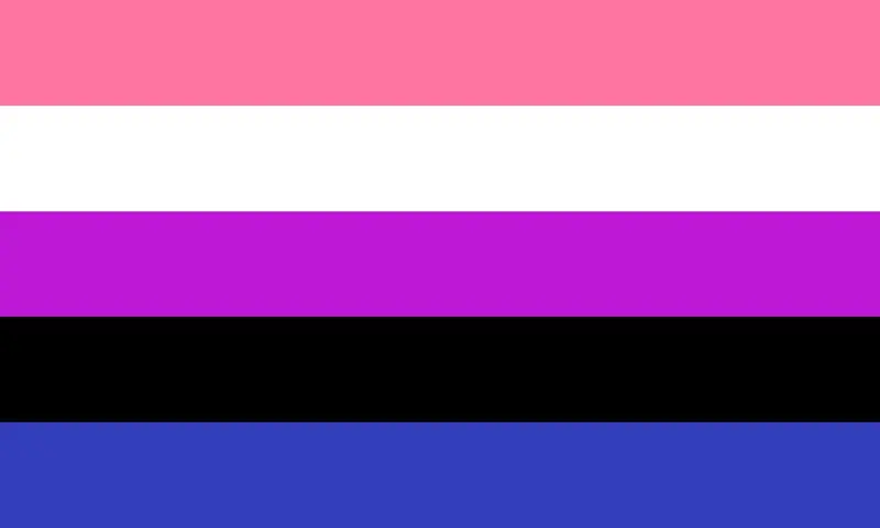 Flagga - Genderfluid (150x90)