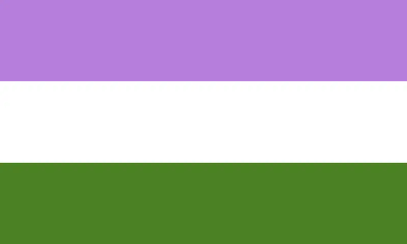 Flagga - Genderqueer (150x90)