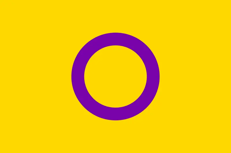 Flagga - Intersex (150x90)