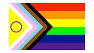Flagga - Intersex progress pride (150x90)