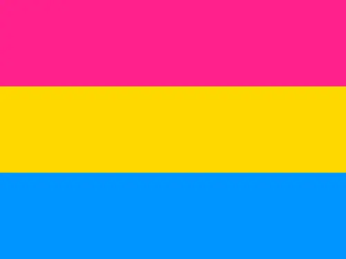 Flagga - Pansexuell (150x90)