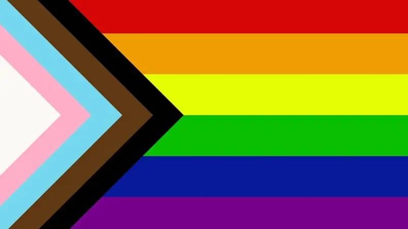 Flagga - Progress pride (150x90)