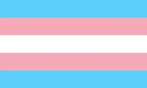 Flagga - Trans (150x90)