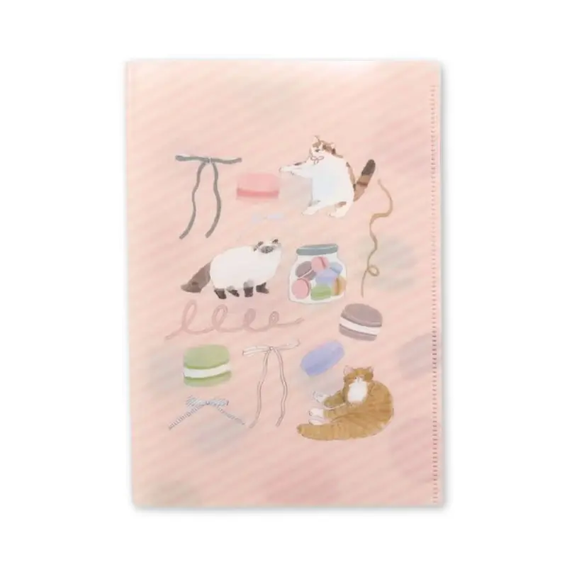 Furukawa Shiko × Tobimatsu Shoichiro A5 Clear File Macaron