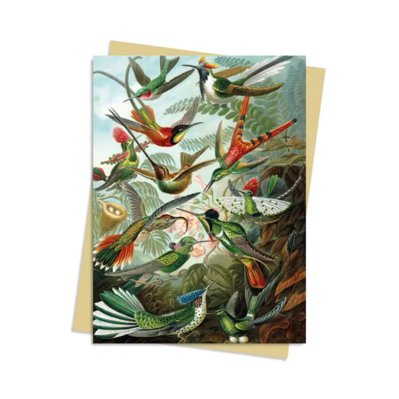 Hummingbirds (Ernst Haeckel)