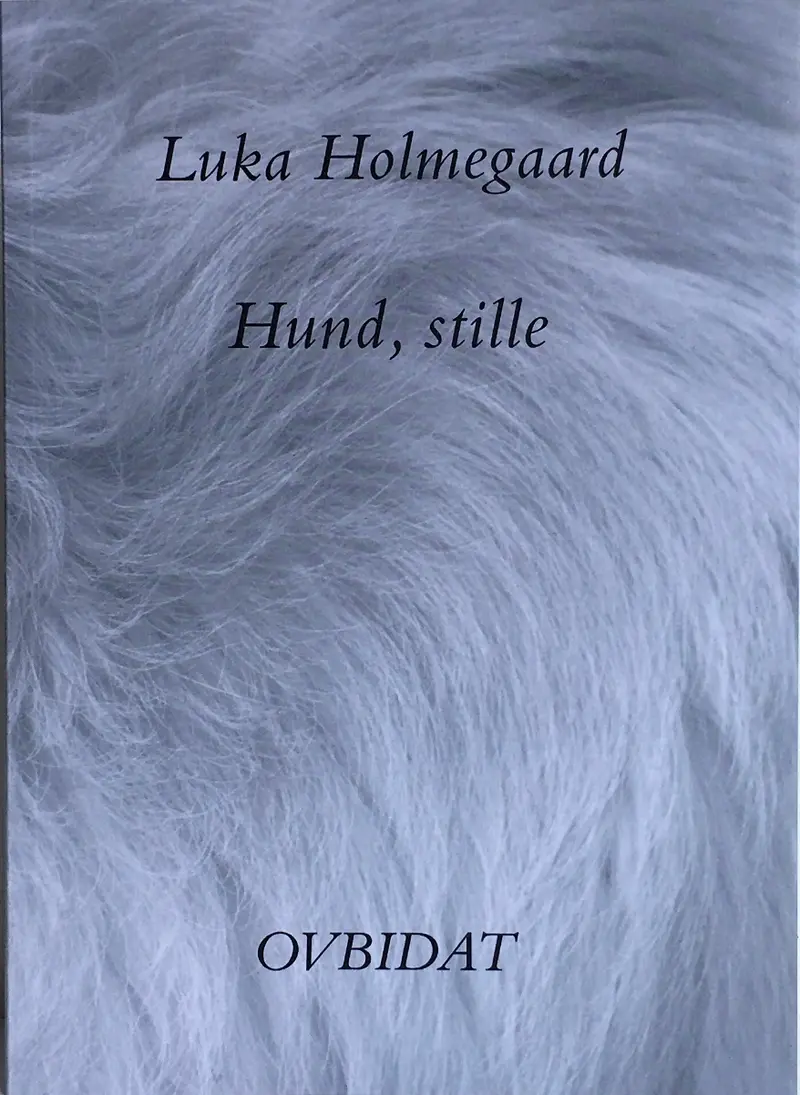 Hund, stille - Luka Holmegaard