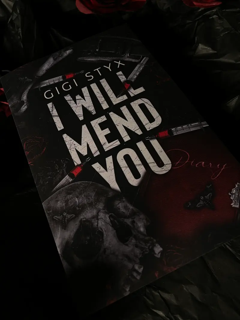 I Will Mend You, av Gigi Styx (pocketutgåva, engelsk utgåva)